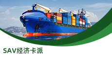 SAV經(jīng)濟(jì)卡派